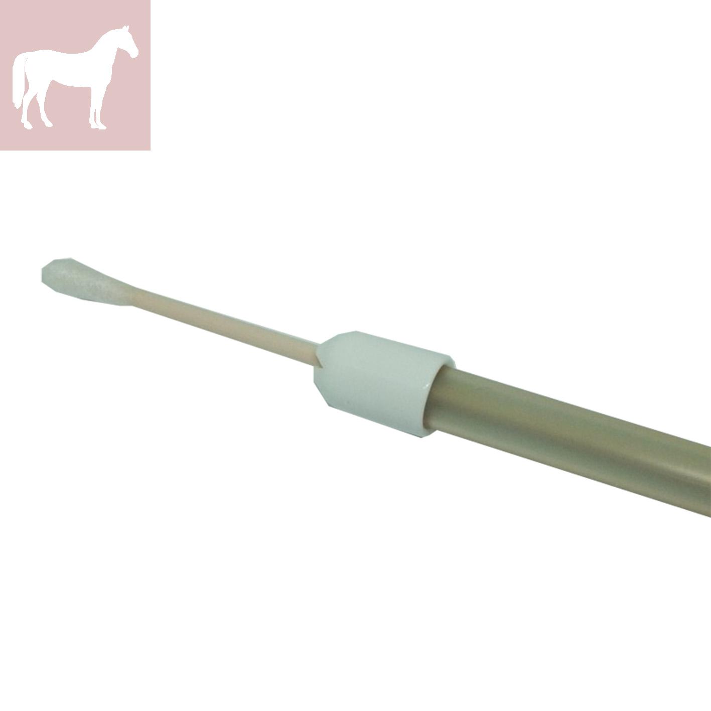 Double Guarded Swab