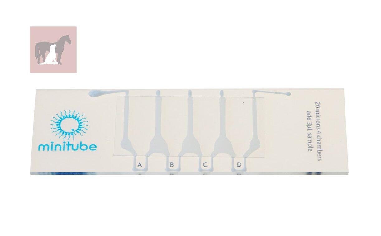 Disposable counting chamber, 20 µm